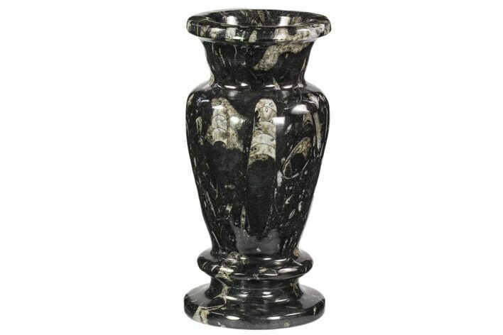 Limestone Vase With Orthoceras Fossils #104643